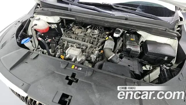 Kia Carnival 2020 — Фото 6/20