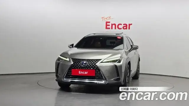 Lexus UX250h 2019 — Photo 14/20
