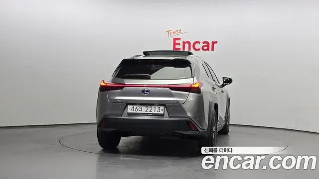 Lexus UX250h 2019 — Photo 8/20