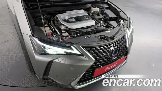 Lexus UX250h 2019 — Photo 11/20
