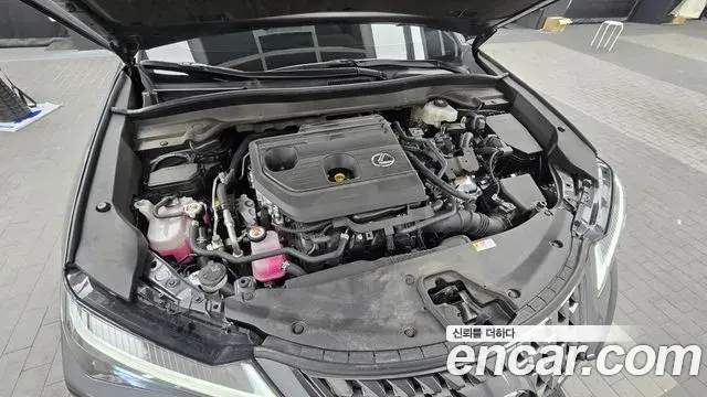 Lexus UX300h 2024 — Şəkil 12/20