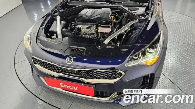 Kia Stinger 2020 — Фото 6/20