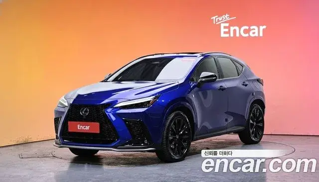 Lexus NX450h+ 2022 — Photo 13/20