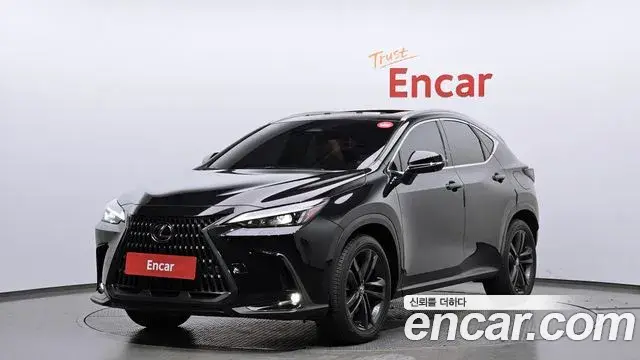 Lexus NX350h 2023 — Photo 13/20