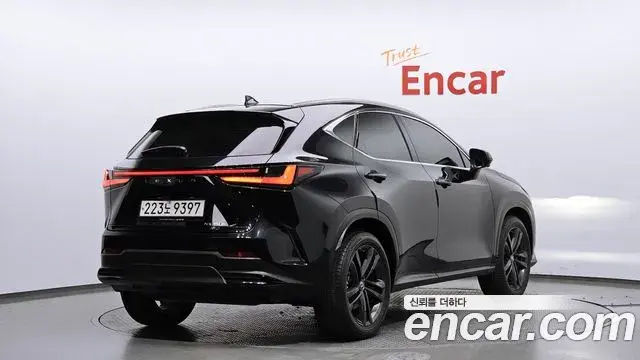 Lexus NX350h 2023 — Photo 17/20