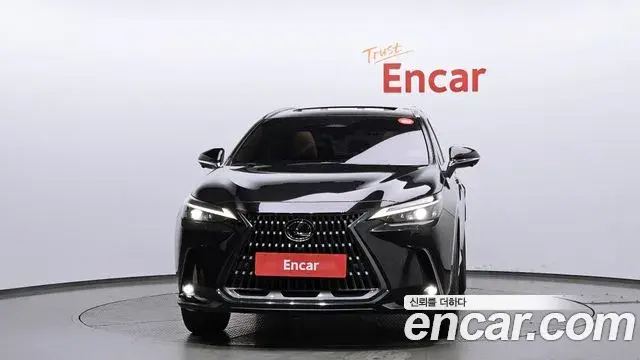 Lexus NX350h 2023 — Photo 8/20