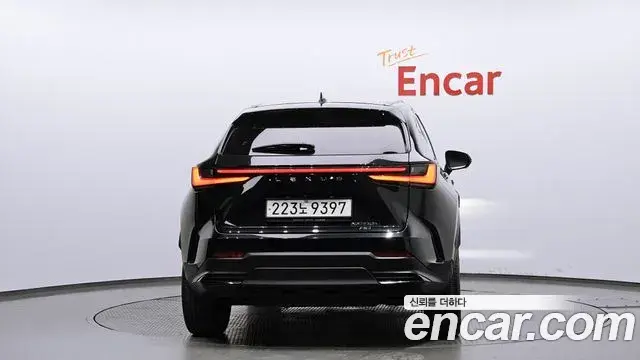 Lexus NX350h 2023 — Photo 19/20