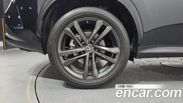 Lexus NX350h 2023 — Photo 14/20