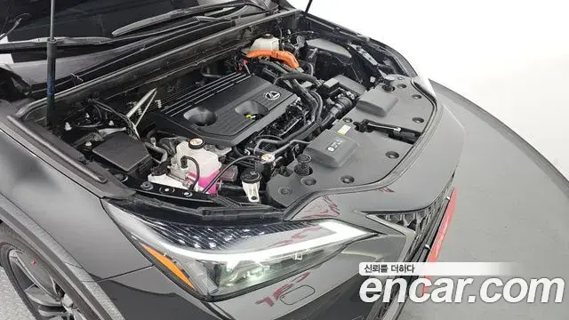 Lexus NX350h 2023 — Photo 18/20