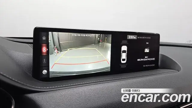 Genesis G80 2020 — Şəkil 29/41