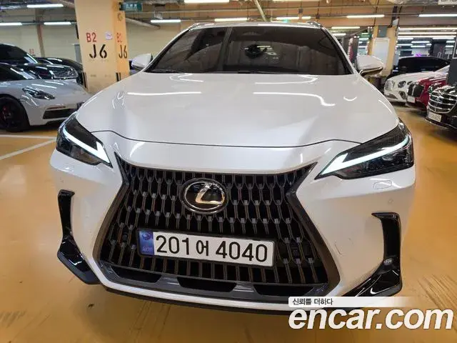 Lexus NX350h 2025 — Şəkil 8/20