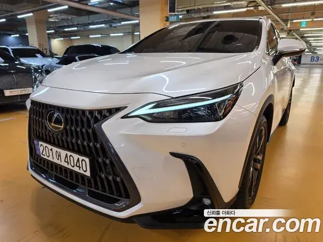 Lexus NX350h 2025 — Şəkil 9/20