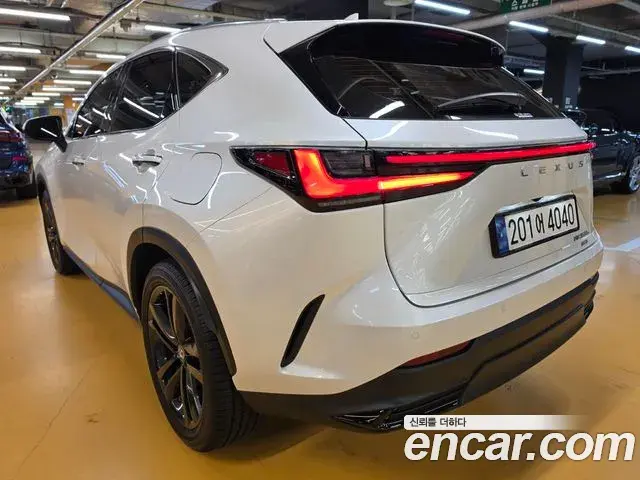 Lexus NX350h 2025 — Şəkil 1/20