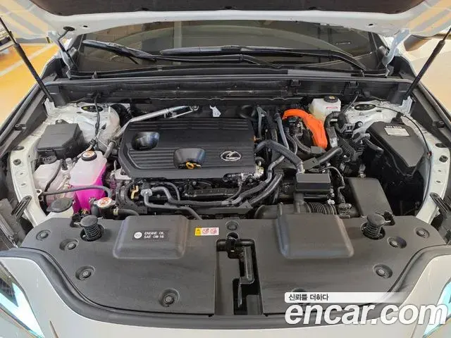 Lexus NX350h 2025 — Şəkil 10/20