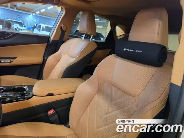 Lexus NX350h 2025 — Şəkil 4/20