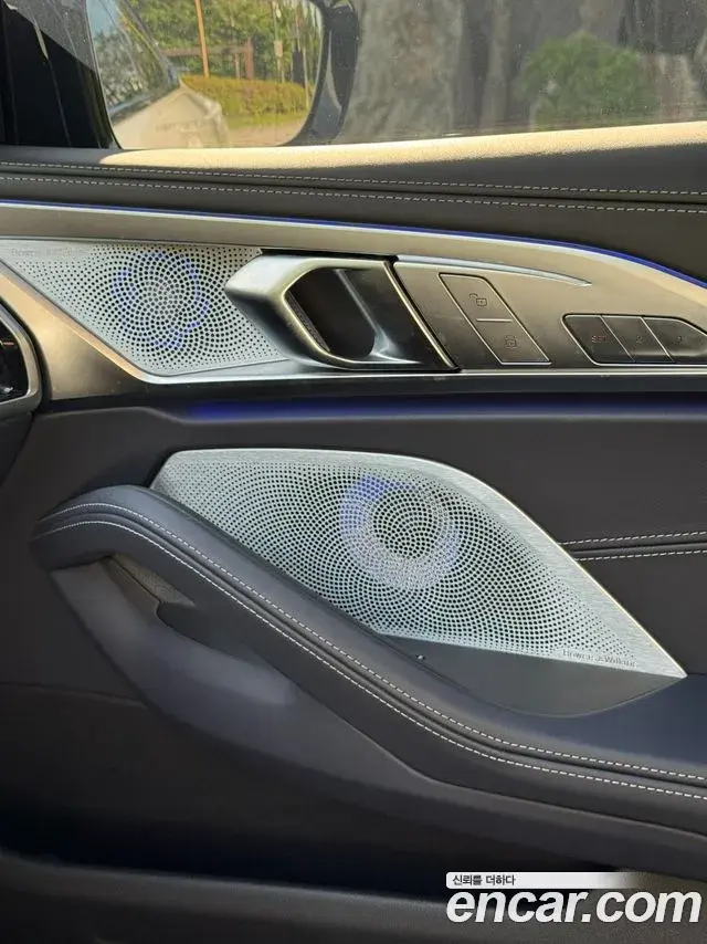 BMW 8 Series 2025 — ფოტო 5/20