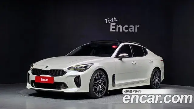 Kia Stinger Meister 2020 — ფოტო 7/32