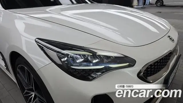Kia Stinger Meister 2020 — ფოტო 5/32