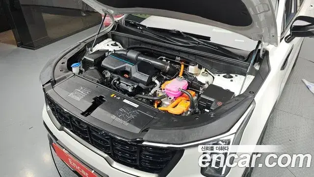 Kia Sorento 2025 — Фото 6/20