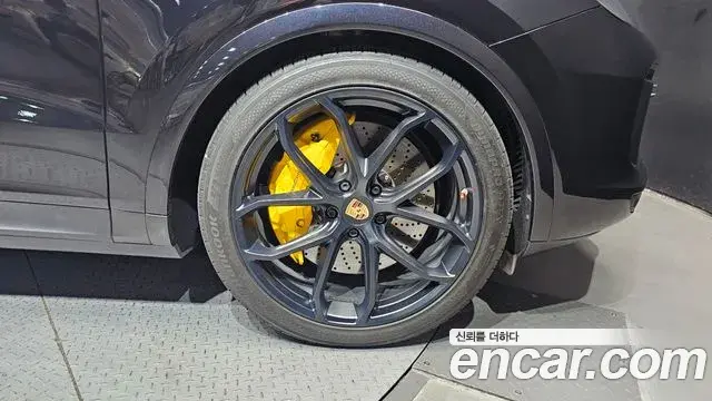 Porsche Cayenne 2019 — ფოტო 29/30