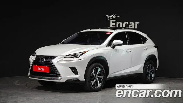 Lexus NX300h 2019 — Photo 7/20