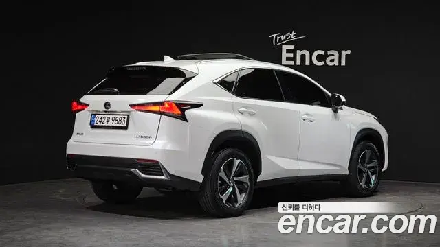 Lexus NX300h 2019 — Photo 10/20