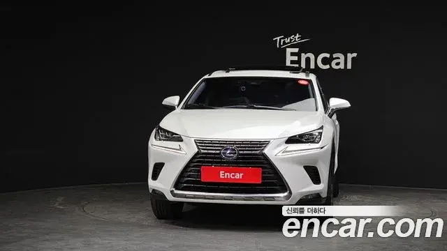 Lexus NX300h 2019 — Photo 18/20