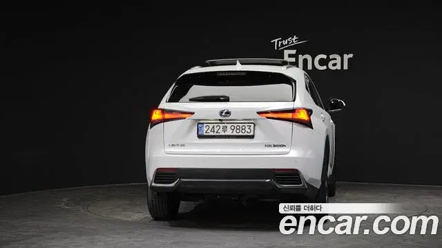 Lexus NX300h 2019 — Photo 17/20