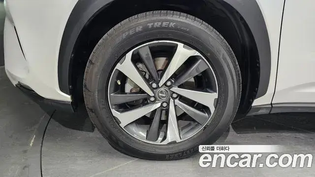 Lexus NX300h 2019 — Photo 3/20