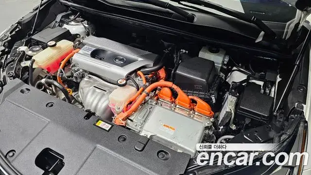 Lexus NX300h 2019 — Photo 6/20