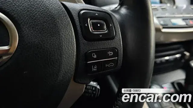 Lexus NX300h 2019 — Photo 14/20