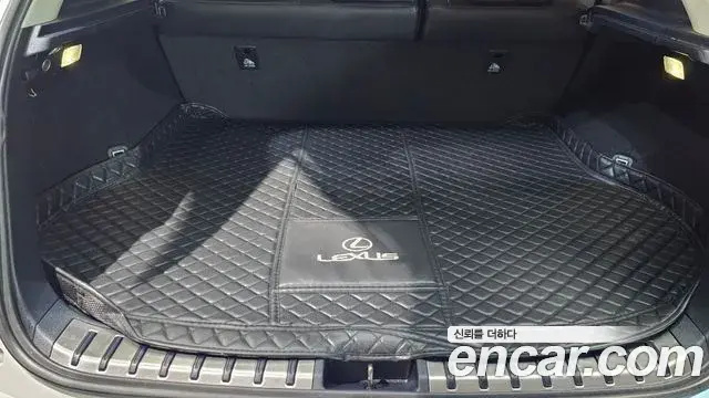 Lexus NX300h 2019 — Photo 5/20