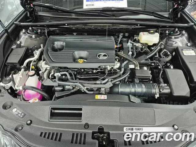 Lexus ES300h 2025 — Photo 7/19