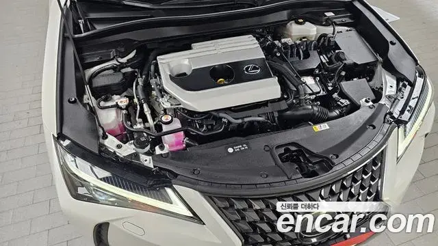 Lexus UX250h 2023 — Photo 30/30