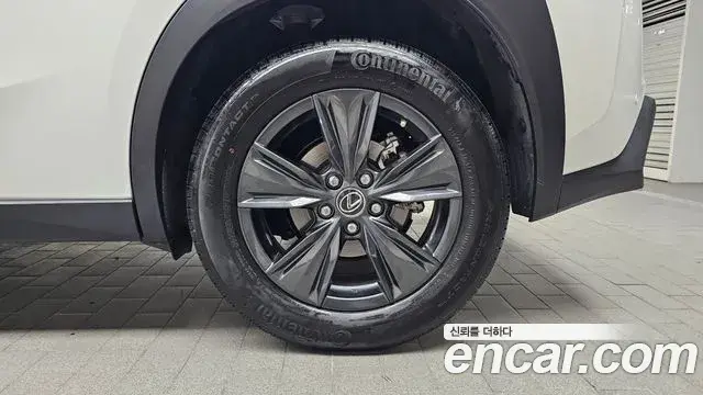 Lexus UX250h 2023 — Photo 29/30
