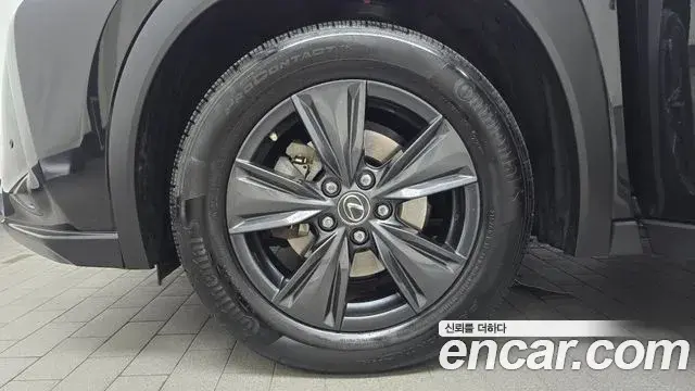 Lexus UX250h 2023 — ფოტო 23/30
