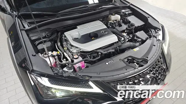 Lexus UX250h 2023 — ფოტო 20/30