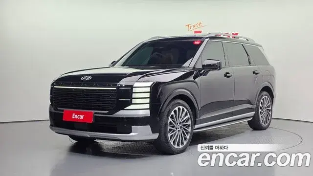 Hyundai Palisade 2025 — ფოტო 16/20