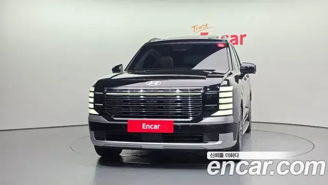 Hyundai Palisade 2025 — ფოტო 18/20