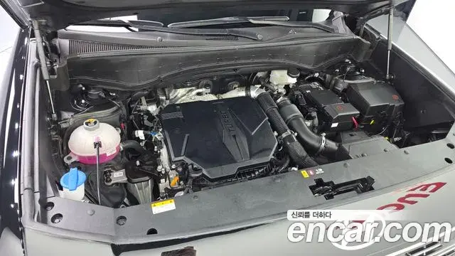 Hyundai Palisade 2025 — ფოტო 19/20