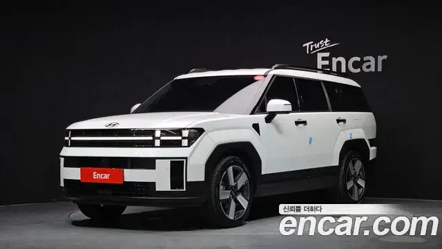 Hyundai Santa Fe 2025 — ფოტო 1/20