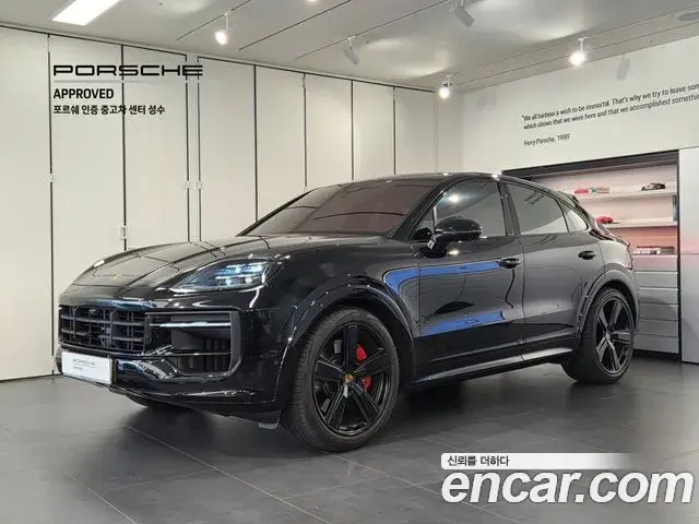 Porsche Cayenne 2025 — ფოტო 9/20