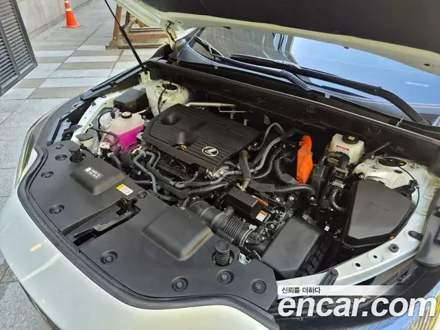 Lexus NX350h 2025 — Şəkil 10/20