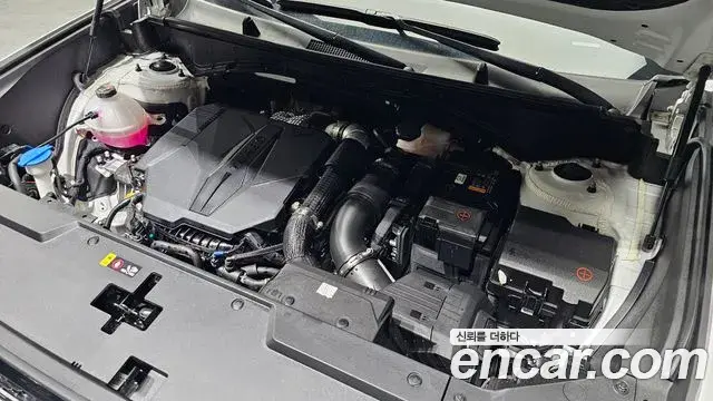 Hyundai Santa Fe 2024 — ფოტო 33/34