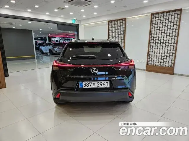 Lexus UX300h 2026 — Photo 11/15