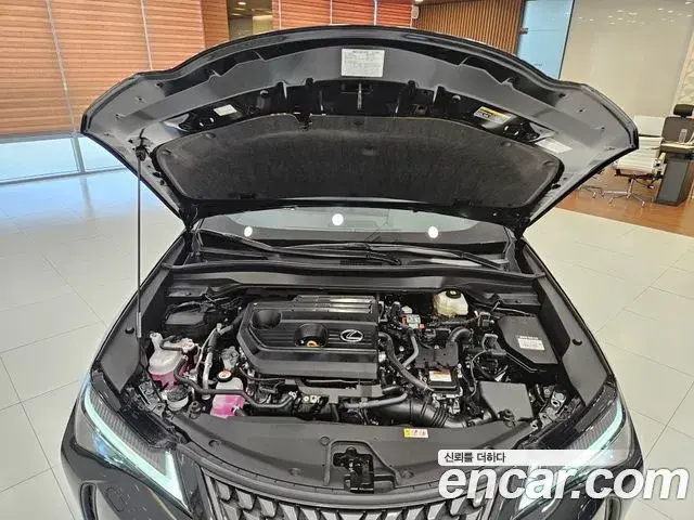 Lexus UX300h 2026 — Photo 1/15
