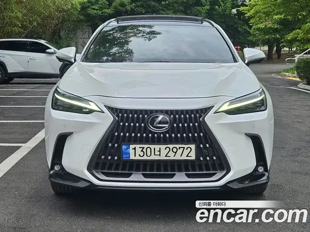 Lexus NX350h 2023 — ფოტო 3/20