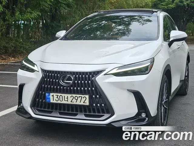 Lexus NX350h 2023 — ფოტო 16/20