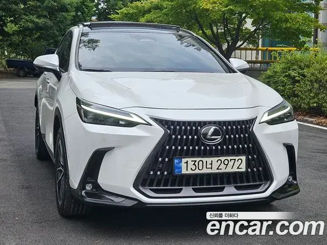 Lexus NX350h 2023 — ფოტო 17/20