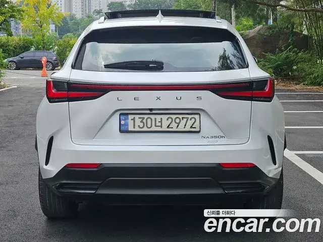 Lexus NX350h 2023 — ფოტო 7/20